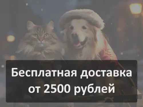Бесплатная доставка